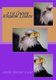 21st Century Kingdom Leaders (Paperback): Apostle Vanzant Luster