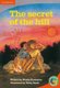 The Secret of the Hill - People (Paperback, New edition): Wendy Hartmann
