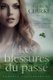 Les blessures du passe (French, Paperback): Andrea Clarke