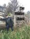 The Findlay Book (Paperback): Phoebe Abbott Blackwell
