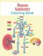 Human Anatomy Coloring Book - The Human Body For Kids and Adult Gift For Your children - Bones, Muscles, Blood, Nerves, and...