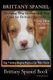 Brittany Spaniel Training, Dog Grooming & Dog Care for Brittany Spaniels By D!G THIS DOG Training, Dog Training Begins From the...