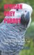 African Grey Parrot - The Complete Guides on How to Take Good Care Of the African Grey Parrot (Paperback): Kurtz B Lake
