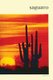 Saguaro - National Monument (Paperback): U S Department O National Park Service