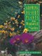 Growing Desert Plants - From Windowsill to Garden (Paperback, 1st ed): Theodore B Hodoba