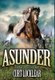 Asunder - A Novel of the Civil War (Hardcover): Curt Locklear