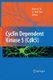 Cyclin Dependent Kinase 5 (Cdk5) (Paperback, 2008 ed.): Nancy Y. Ip, Li-Huei Tsai