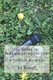 20 Years of Screaming to No One - a lyrical memoir (Paperback): S. J. Russell