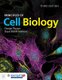 Principles Of Cell Biology (Hardcover, 3rd Revised edition): George Plopper, Diana Bebek Ivankovic