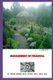Management of Finance - Finance (Paperback): David Ackah
