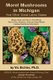 Morel Mushrooms in Michigan And Other Great Lakes States (Paperback): Vic Eichler Ph. D.