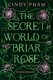 The Secret World Of Briar Rose (Paperback): Cindy Pham