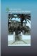 La casa de las palmeras (Spanish, Paperback): Luis Fermin Moreno, Pepa Montero Merida