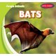Bats (Paperback): Rob Ryndak