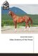 Atlas Anatomy of the Horse (Paperback): Gamal Eldin Swielim