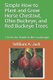 Simple How-To Plant and Grow Horse Chestnut, Ohio Buckeye, and Red Buckeye Trees - 3 Trees for Shade in the Landscape...