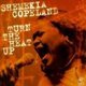 Shemekia Copeland - Turn the Heat Up (CD): Shemekia Copeland