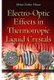 Electro-Optic Effects in Thermotropic Liquid Crystals (Hardcover): Hristo Petkov Hinov