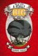 The Cat with a Really Big Head (Hardcover): Roman Dirge