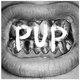 Pup (Vinyl record): Pup