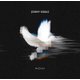 Jeremy Riddle - More (CD): Jeremy Riddle