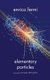 Elementary Particles (Paperback): Enrico Fermi