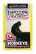 Everything You Should Know About - Monkeys (Paperback): Anne Richards