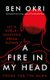 A Fire in My Head (Paperback): Ben Okri