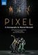 Pixel (DVD): Mourad Merzouki, Armand Amar, Compagnie Käfig