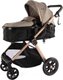 TIAGO Delux 2-in-1 Stroller: 
