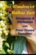 Das Wundern ist des Muellers Last - Bloedeleien & Wortspiele (German, Paperback): Peter Klessa Ramazani