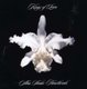 Kings Of Leon - Aha Shake Heartbreak (CD): Kings Of Leon
