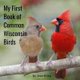 My First Book of Common Wisconsin Birds (Paperback): Jean Krieg