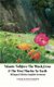 Islamic Folklore The Black Crow and The First Murder In Earth Bilingual Edition English Germany (Paperback): Jannah An-Nur...