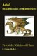Arial, Shieldmaiden of Middleworld - First of the Tales of Middleworld (Paperback): E. Craig McKay