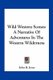 Wild Western Scenes - A Narrative of Adventures in the Western Wilderness (Paperback): John B Jones