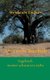 Unterm Baobab (German, Hardcover): Heidrun Cichon