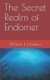 The Secret Realm of Endomer (Paperback): William E. Hawkins