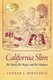 California Slim - The Music, The Magic and The Madness (Paperback): Andrew J. Bernstein