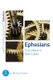 Ephesians: Your place in God's plan - 8 studies for groups and individuals (Paperback): Richard Coekin