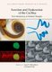 Function and Dysfunction of the Cochlea - From Mechanisms to Potential Therapies (Hardcover): Guy P Richardson, Christine Petit