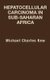 Hepatocellular Carcinoma in Sub-Saharan Africa (Hardcover): Michael Charles Kew