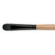 Princeton Catalyst Polytip Bristle Brush - Short Filbert (Size 12): 