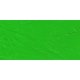 Gamblin Artist Oil Paint - Permanent Green Light (37ml): 