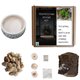 Seedleme Bonsai Grow Kit (Erythrina Caffra): 