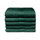 Bunty Plush 100% Cotton Guest Towel (Hunter Green)(Pack of 5)(450gsm)(30 x 50cm): 
