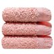 Bunty Plush Terry Fringe Guest Towel (English Rose)(Pack of 3)(380gsm): 