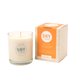 SoyLites ENTICE 220ml 50 Hour Burn Time Moisturising Soy Candle Tumbler with Cinnamon, Sweet Orange, Grapefruit and Ginger: 