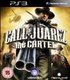Call Of Juarez - The Cartel (PlayStation 3, DVD-ROM): Playstation 3