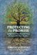 Protecting the Promise - Indigenous Education Between Mothers and Their Children (Paperback): Timothy San Pedro, Megan Bang,...